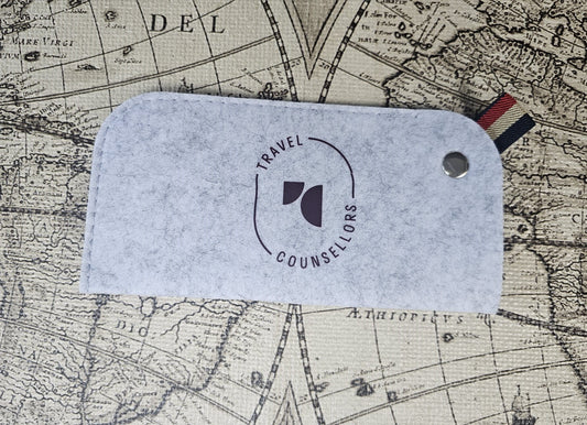 Light Grey Sunglasses or Glasses Case