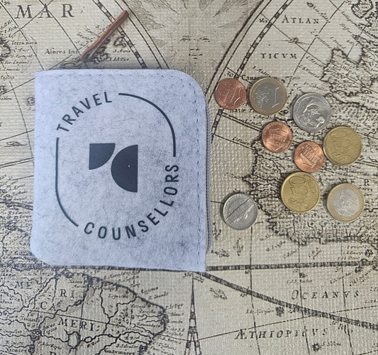 Light Grey Coin Purse /  Wallet