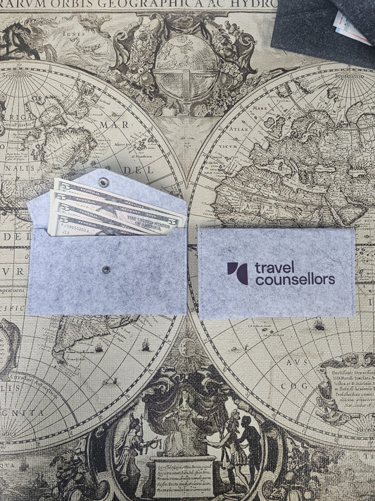 Light Grey Currency Wallet Primary Logo